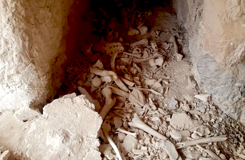 Bones believed to be 2,000 years old discovered in Jericho